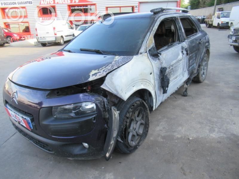 C4 Cactus C4 Picasso, Grand Picasso, Aircross, Cactus  1619251280