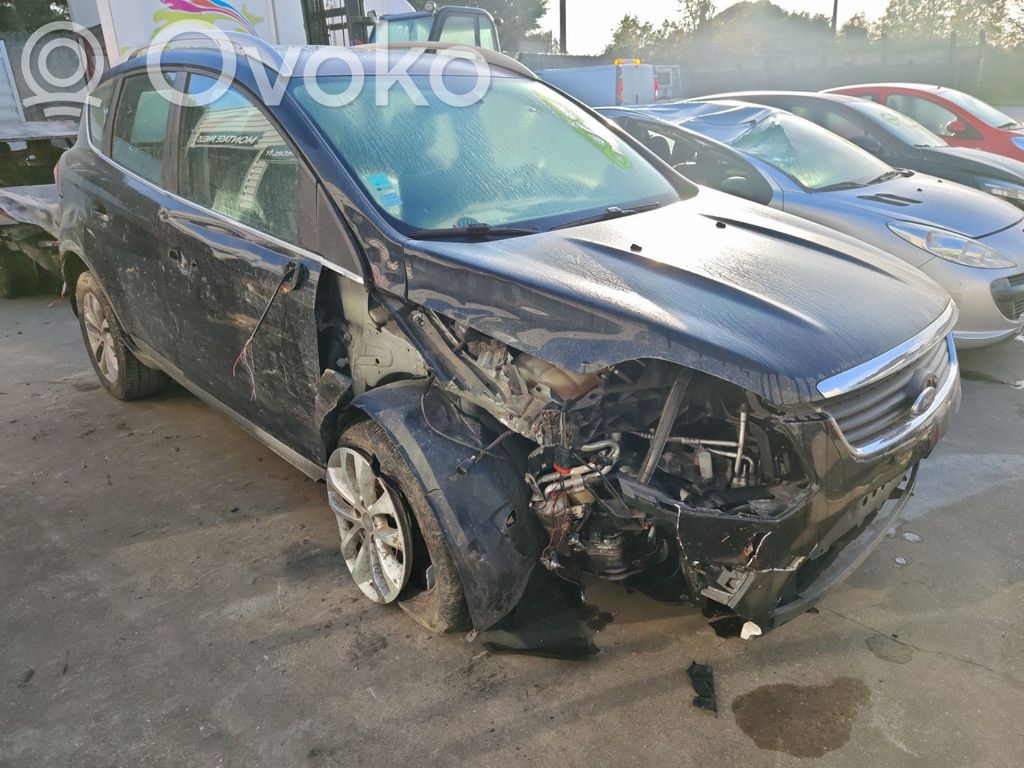 Kuga I Kuga  1676332