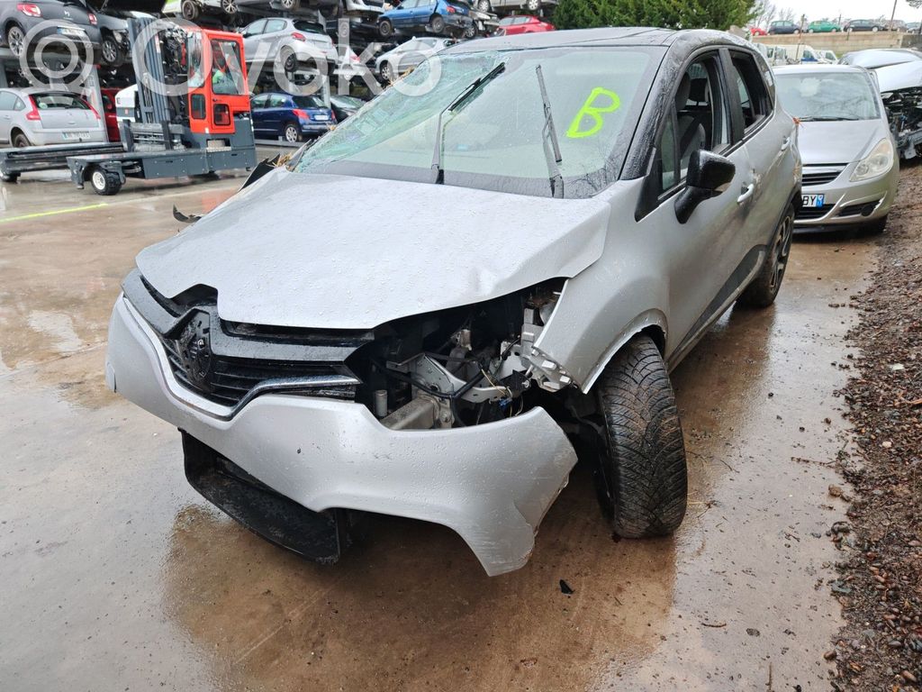 Captur Captur  484009811R
