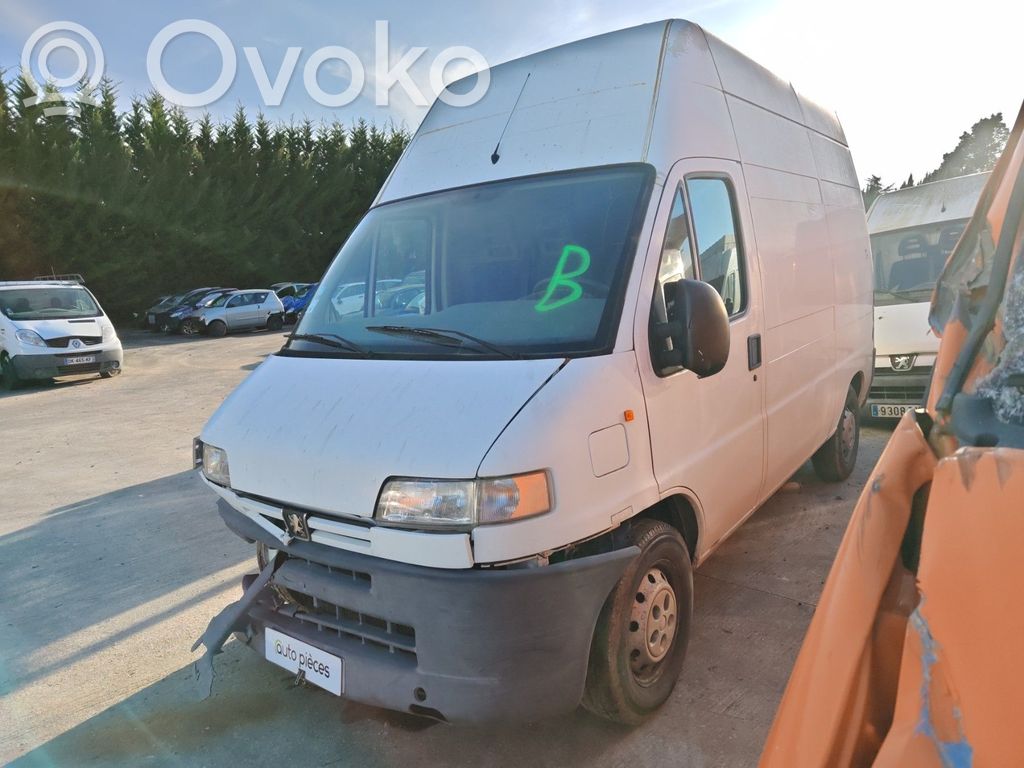 Boxer Boxer  7841E7