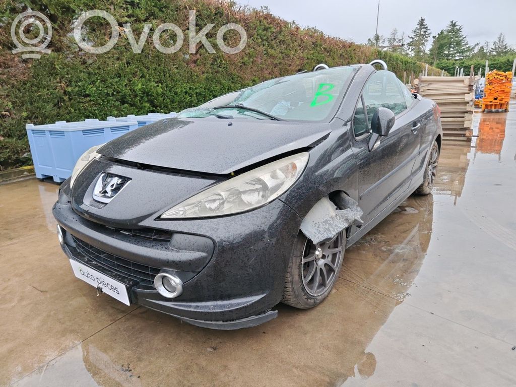 207 207  6242S2