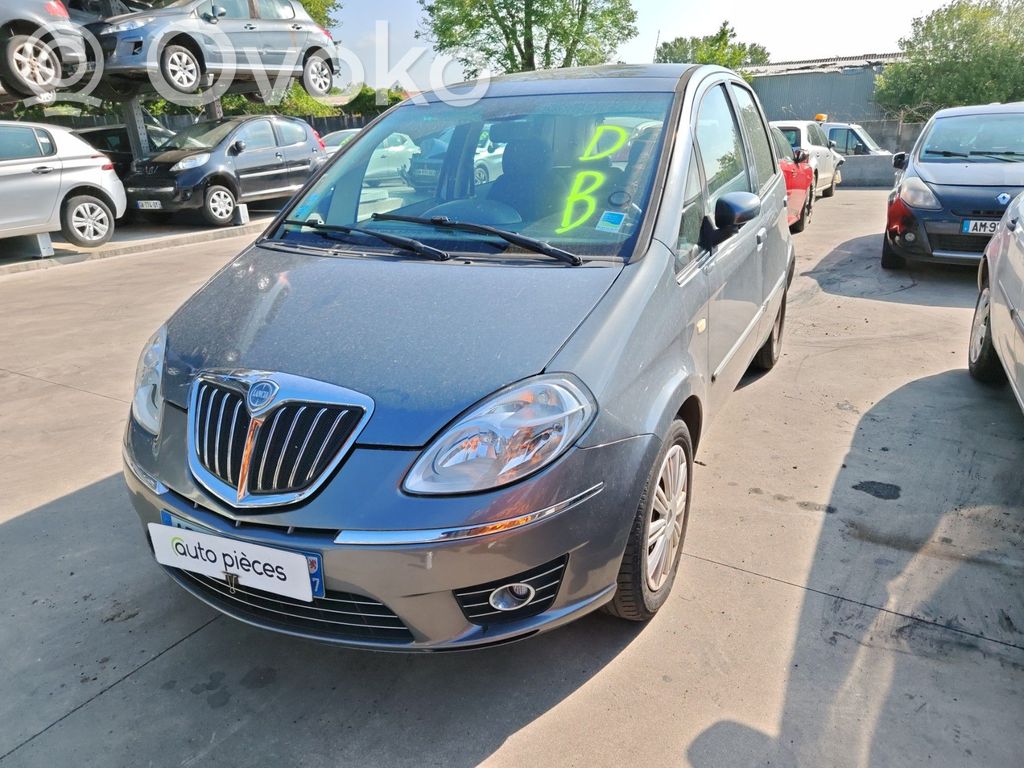 Musa Musa  71736061