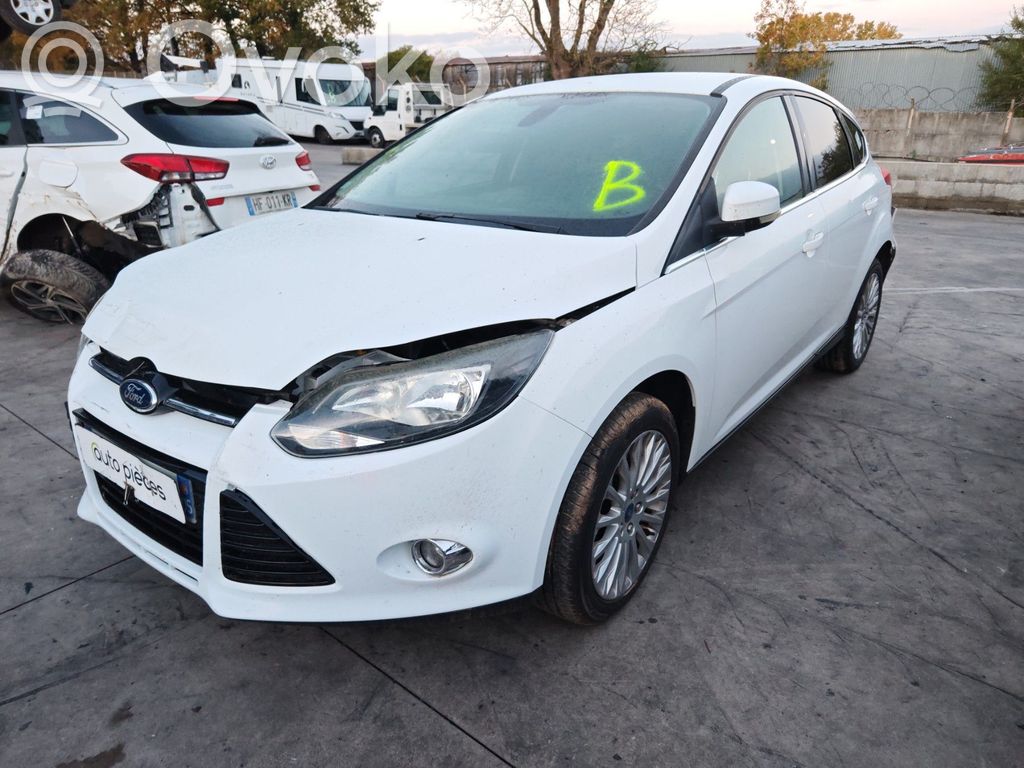 Focus Focus  1838469