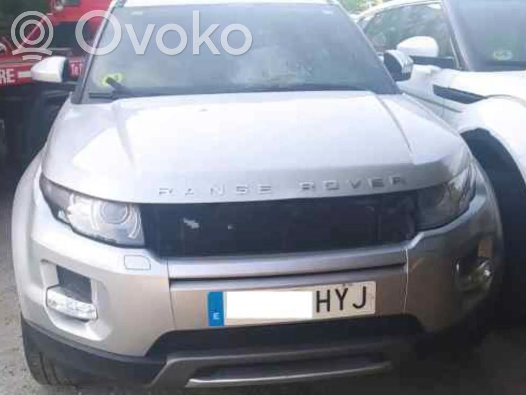 Evoque I Evoque  CK5214C676AA