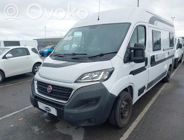 Ducato Ducato  1375103080