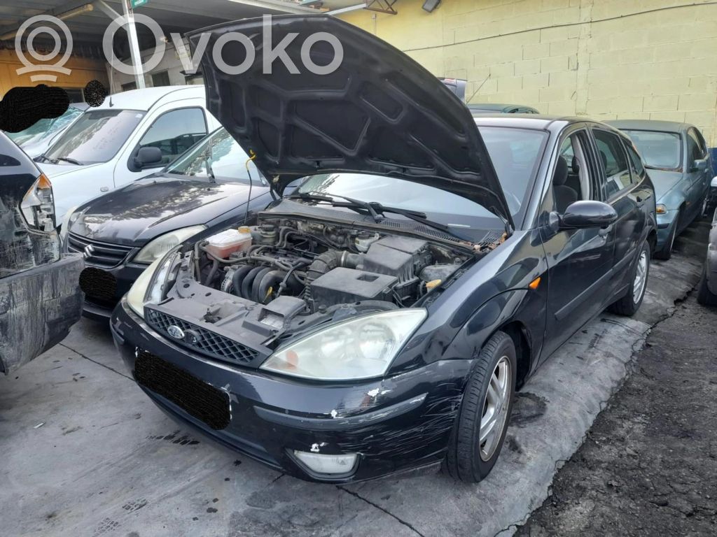 Focus Focus  518274105