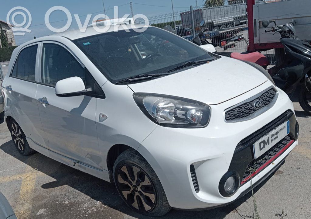 Picanto Picanto  LC3A1469