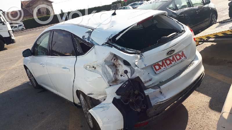 Focus Focus  BV612C405AF