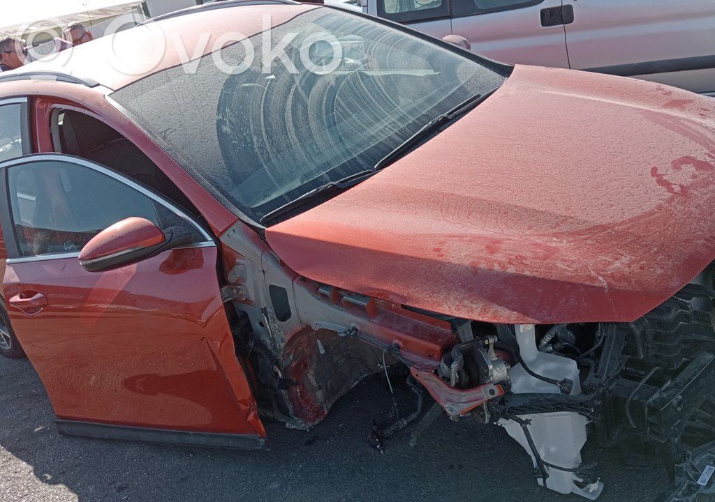 Xceed XCeed  40B5221500