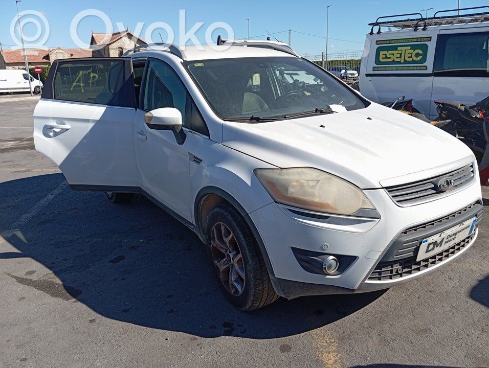 Kuga I Kuga  1595017