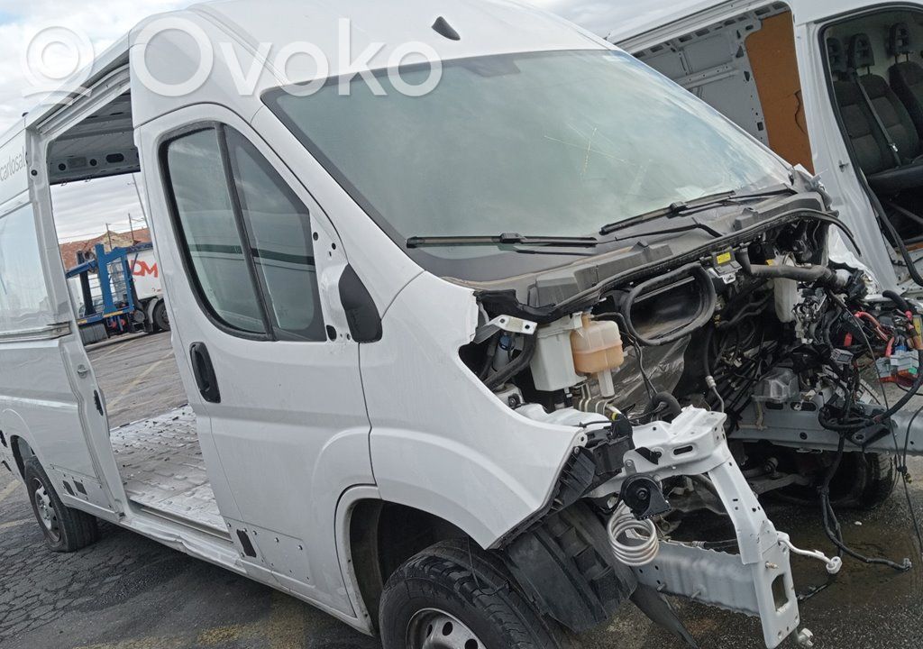Boxer Boxer  34155136C