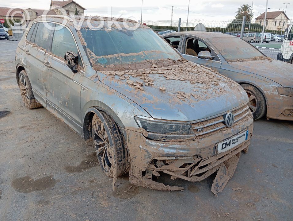 Tiguan Tiguan  DAD