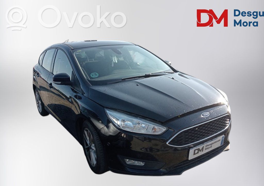 Focus Focus  1876539