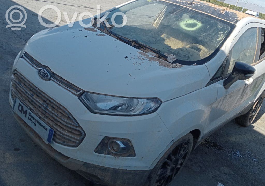 Ecosport Ecosport  2405090