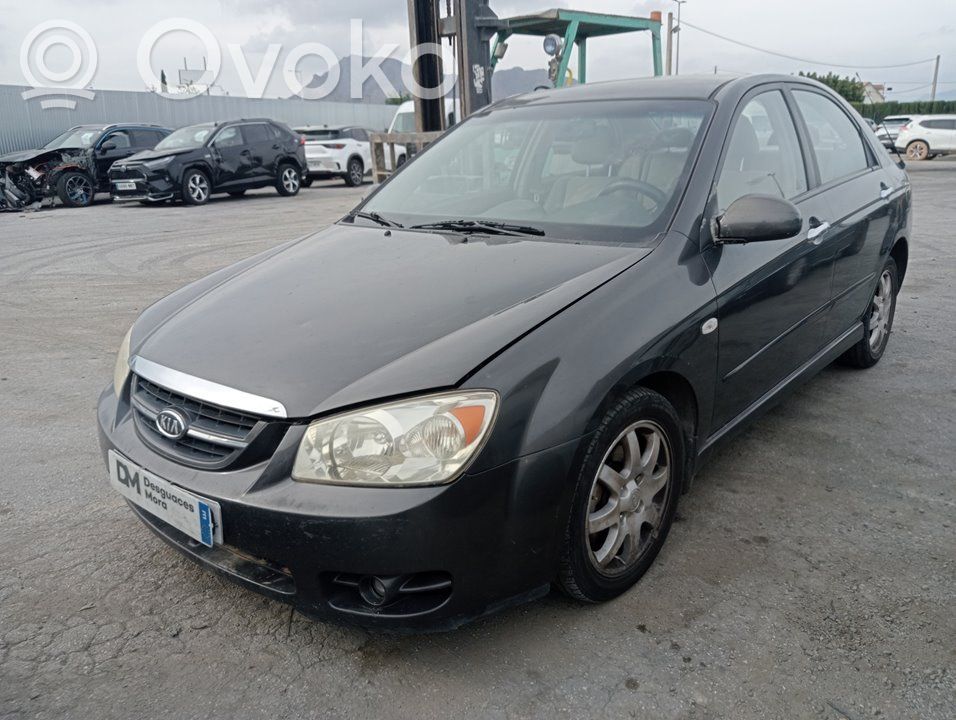 Cerato Cerato  663112F040