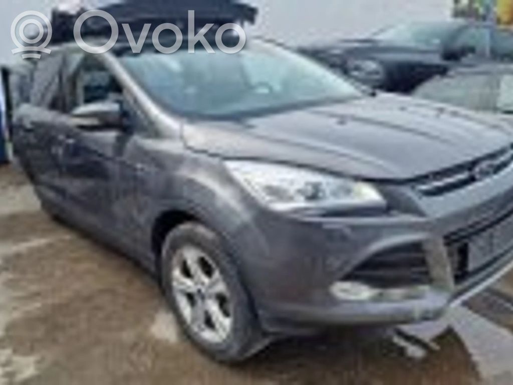 Kuga II Kuga  1831677