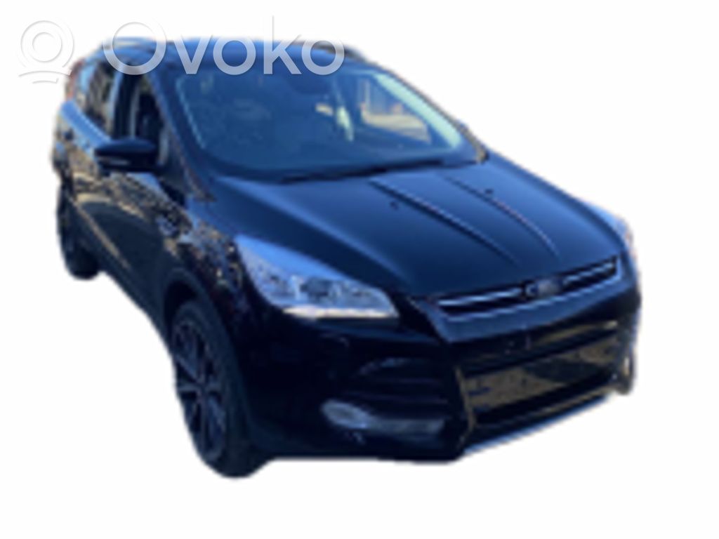 Kuga II Kuga  2400694