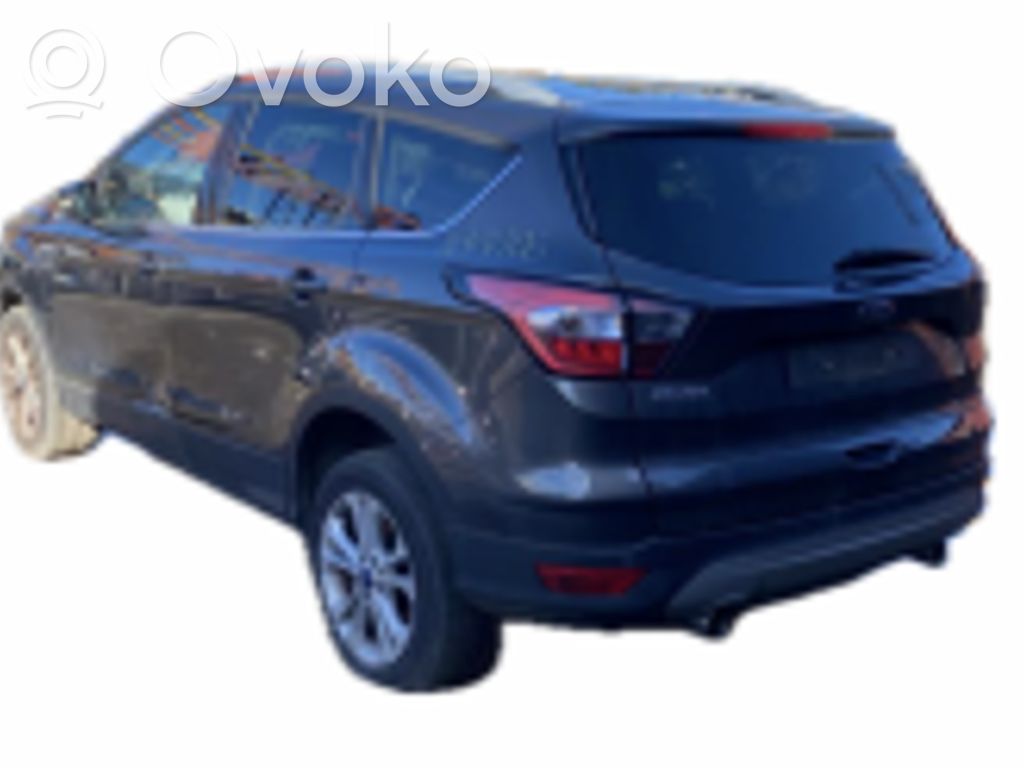 Kuga II Kuga  1898032