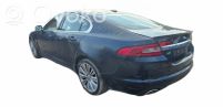 XF XF  XR830017