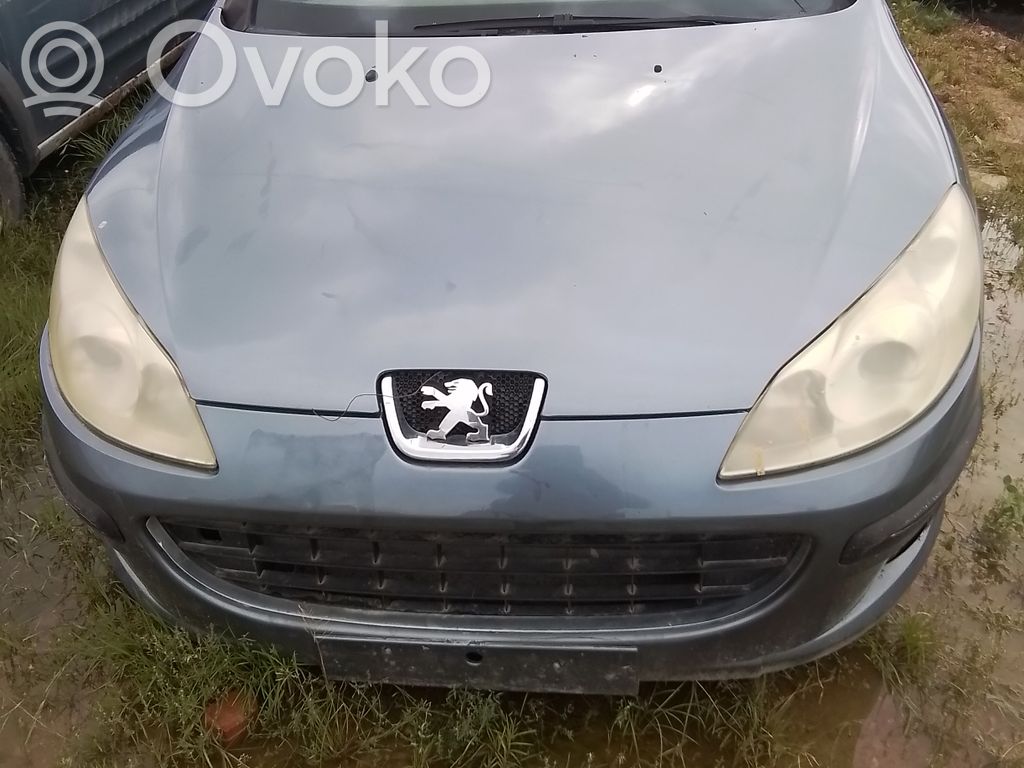 407 407  7737080601