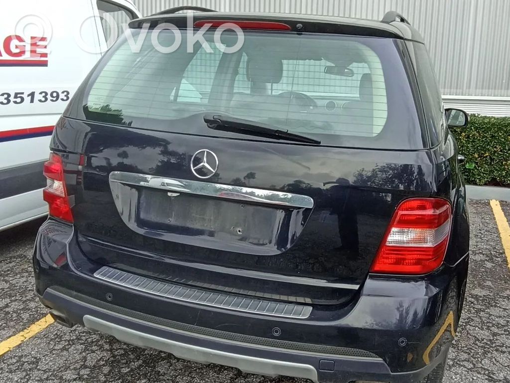 ML W164 ML-class, AMG (W163, W164, W166)
