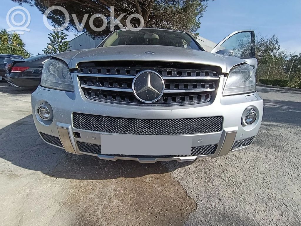 ML W164 ML-class, AMG (W163, W164, W166)