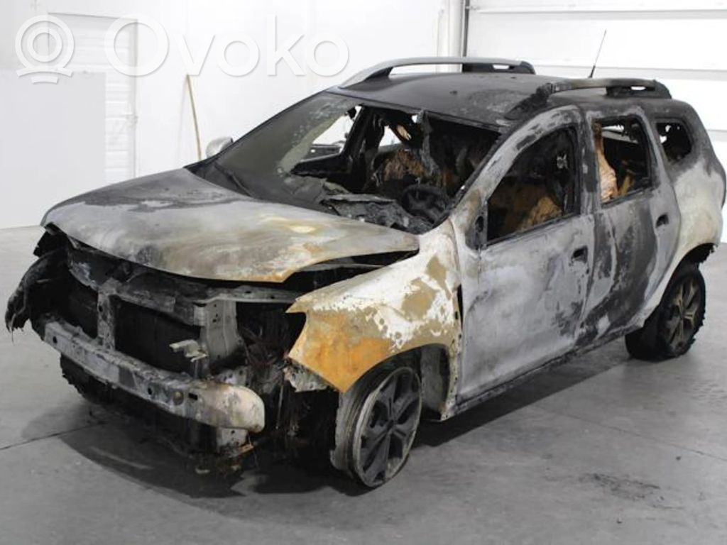 Duster III Duster  113320701R