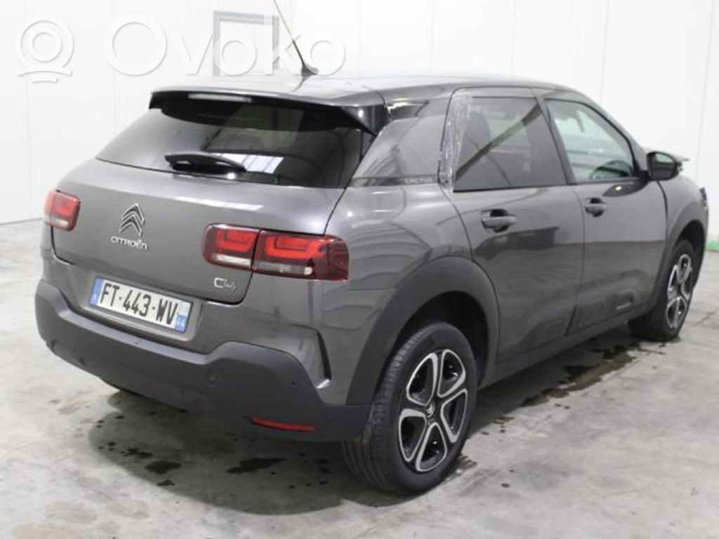 C4 Cactus C4 Picasso, Grand Picasso, Aircross, Cactus  9832397080