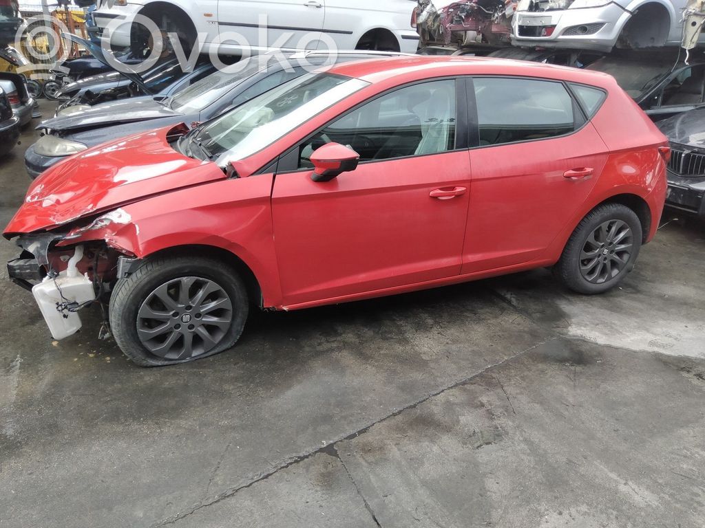Leon (5F) Leon  0258030167