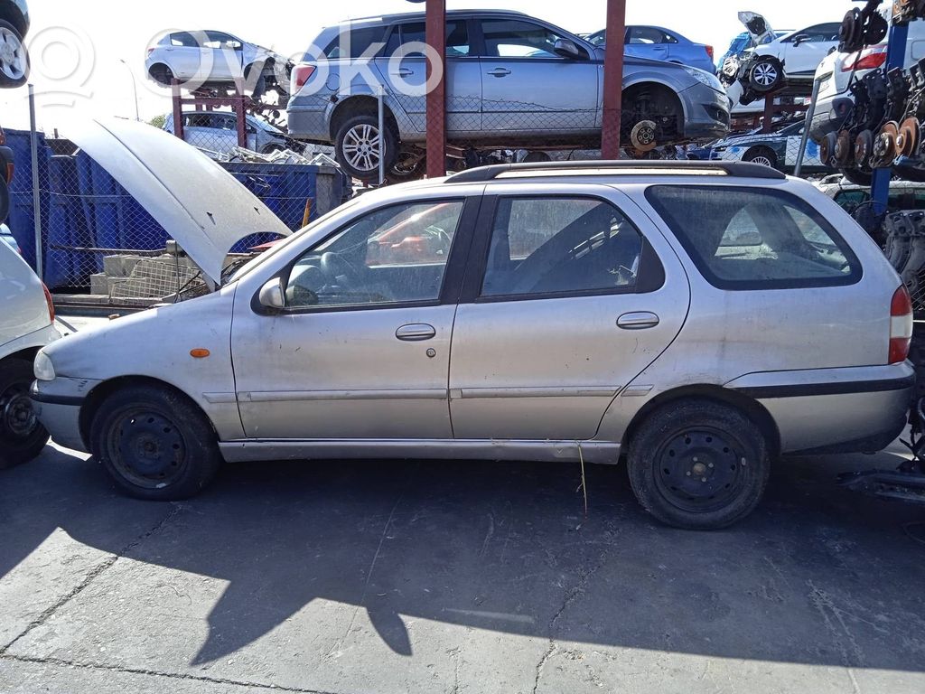 Palio Palio  63321747