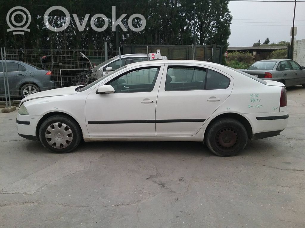 Octavia Mk2 (1Z) Octavia