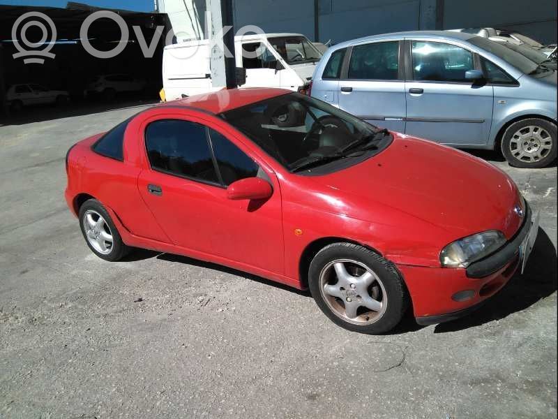 Tigra A Tigra  26025856