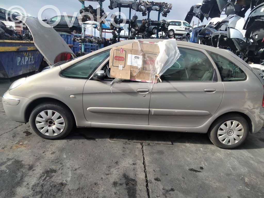 Xsara Xsara, Xsara Picasso