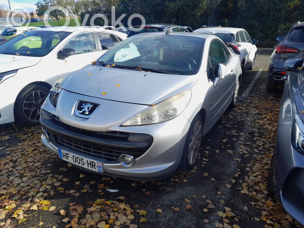 207 207  4541EC