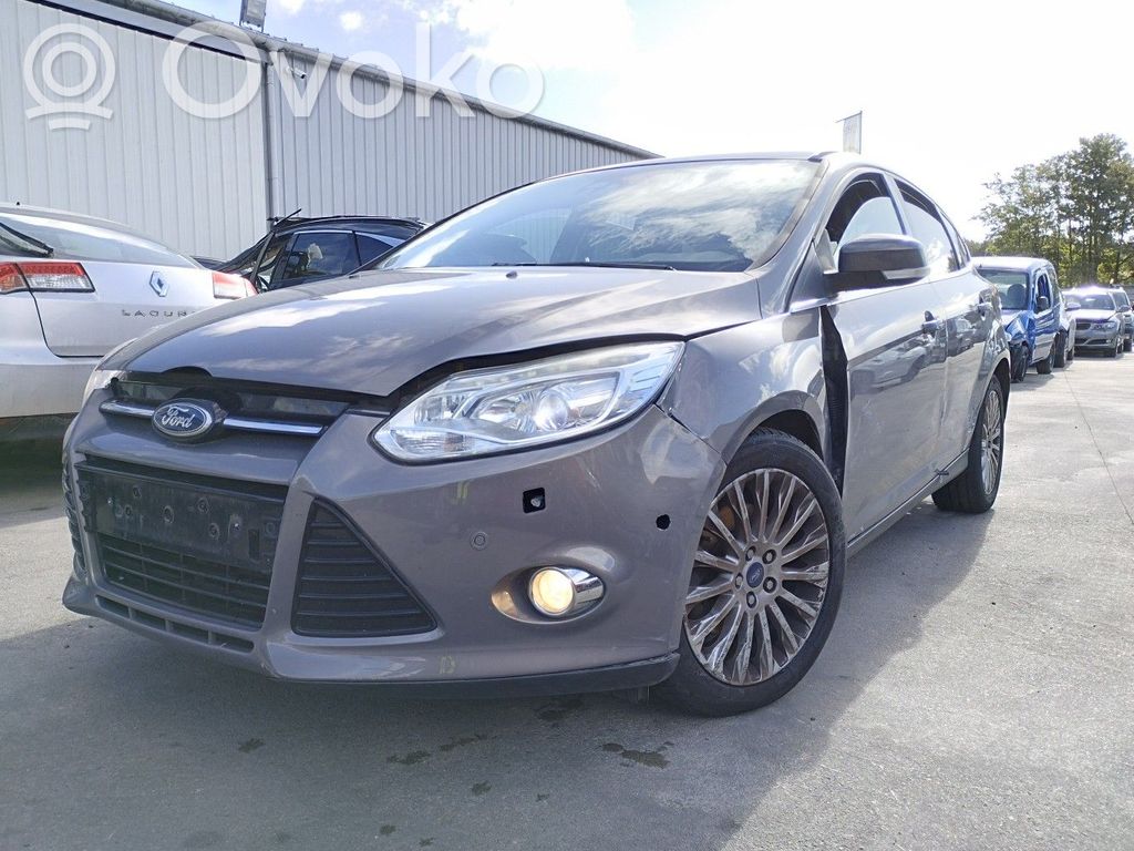 Focus Focus  1787935