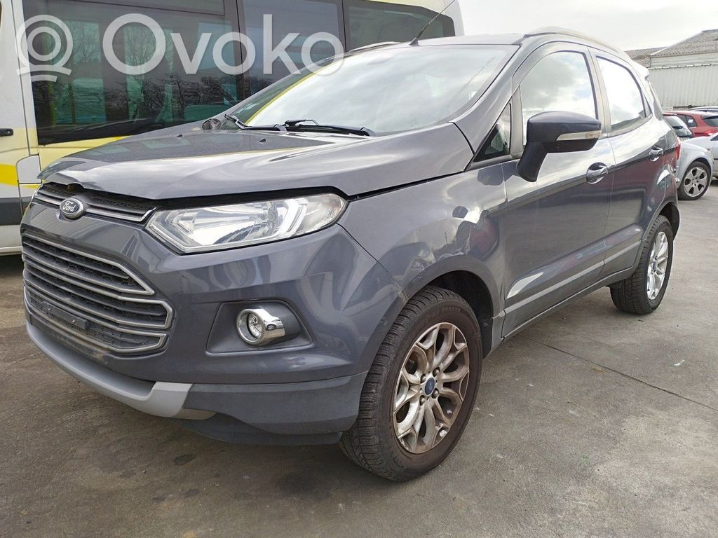 Ecosport Ecosport  2017505