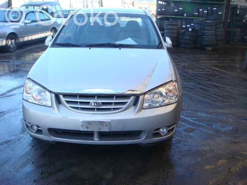 Cerato Cerato