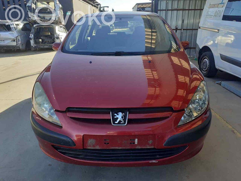 307 307  96605672XT