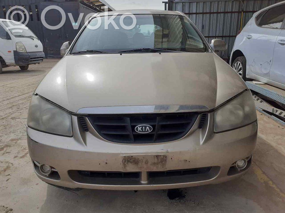 Cerato Cerato  589202F100