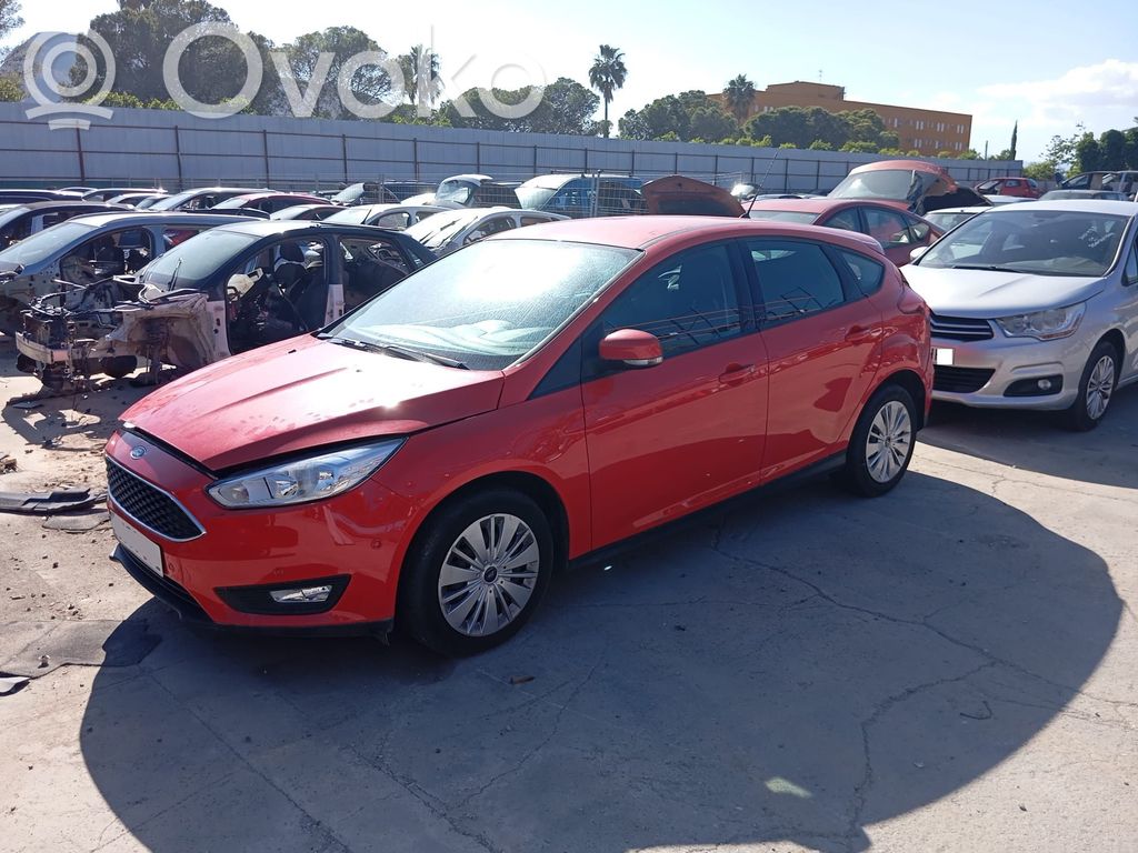 Focus Focus  MS1042113330