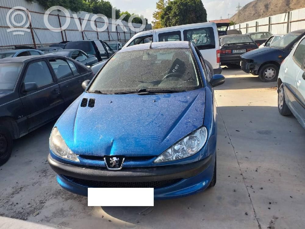 206 206, 206+  9656956080