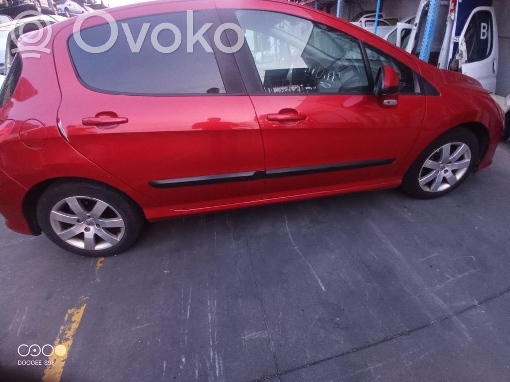 308 308  96660140XT
