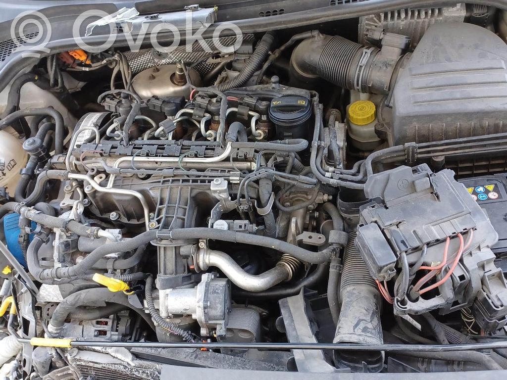 Rapid (NH) Rapid  624468600D