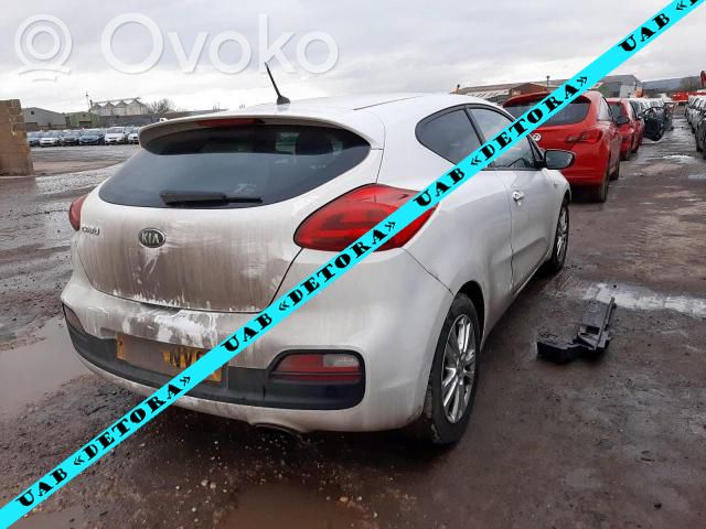 Pro Cee'd II Ceed, Ceed SW, Pro Ceed  49D10U1000