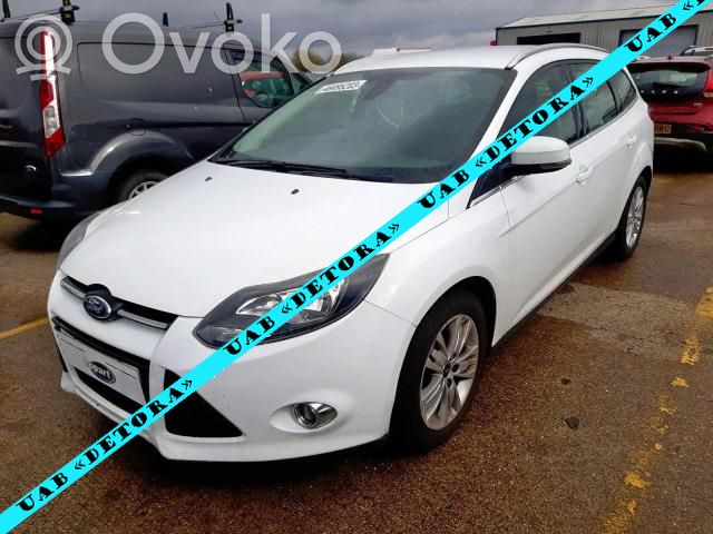 Focus Focus  AV619H307AD