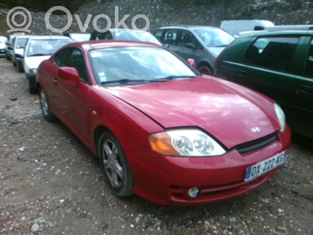 Coupe Coupe  876102C510