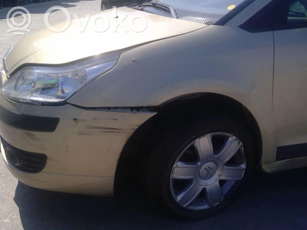 C4 I C4 Picasso, Grand Picasso, Aircross, Cactus  00004541E4