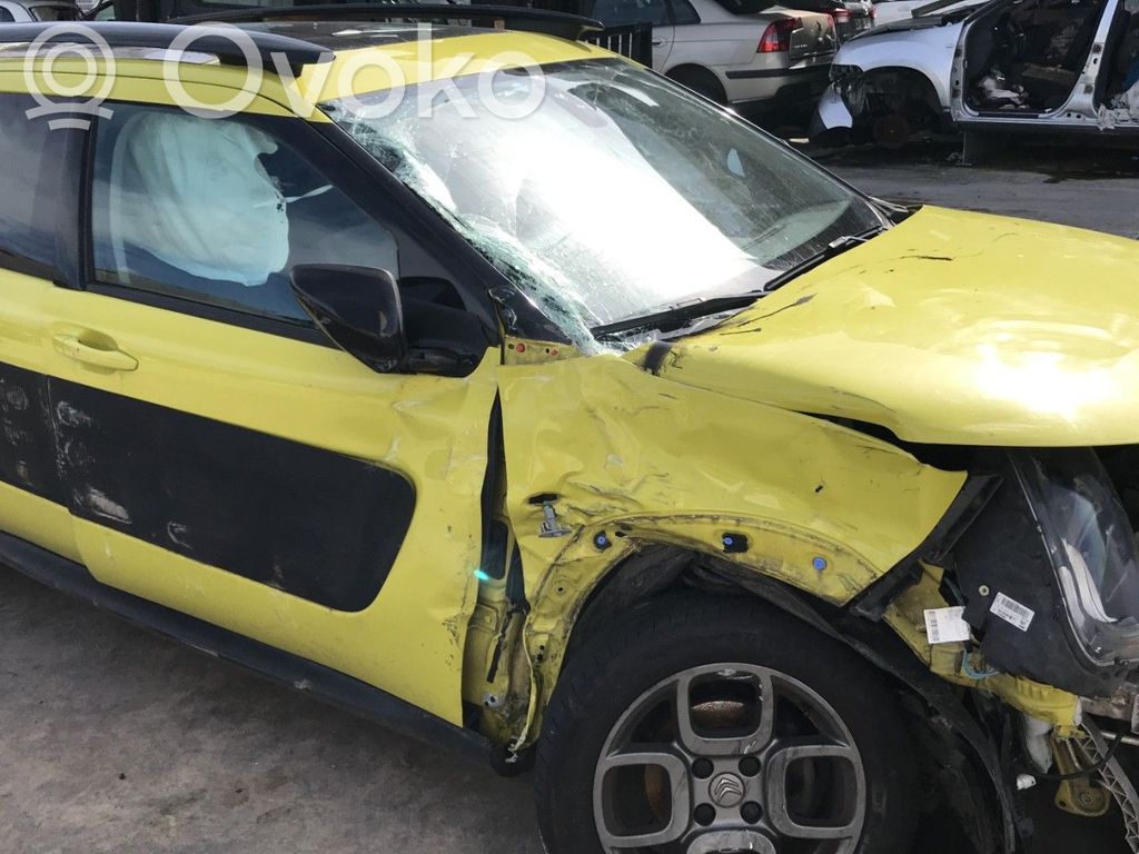 C4 Cactus C4 Picasso, Grand Picasso, Aircross, Cactus  00002231V2