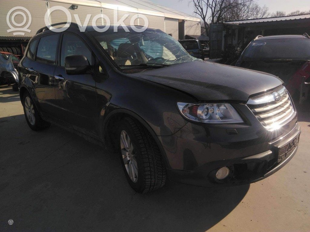 Tribeca Tribeca