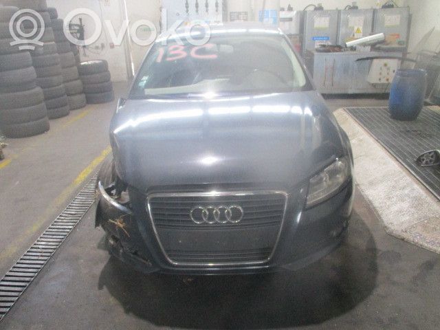 A3 S3 8P A3, S3